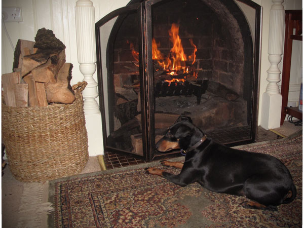 Log fire and resting dog